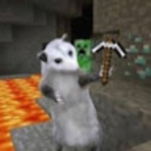 Meet your Posher, Maple